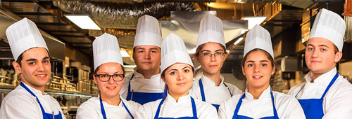 cocina online